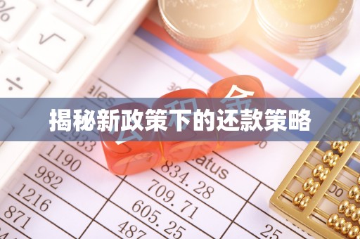 进贤揭秘新政策下的还款策略