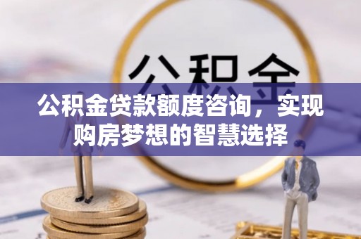 进贤公积金贷款额度咨询，实现购房梦想的智慧选择
