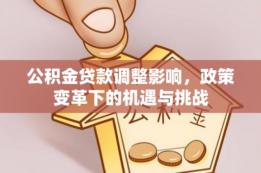 进贤公积金贷款调整影响，政策变革下的机遇与挑战