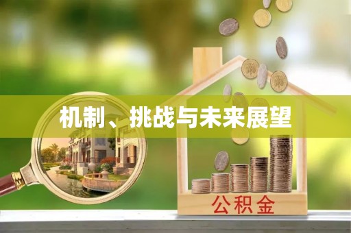 进贤机制、挑战与未来展望